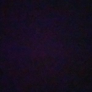 Meet your Posher, Lilly